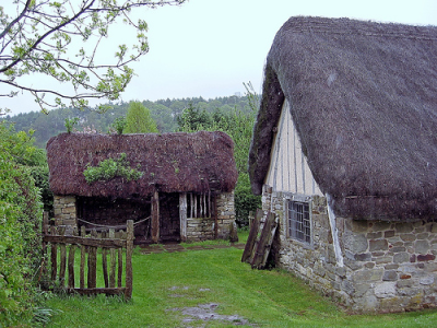 thatched house and shed